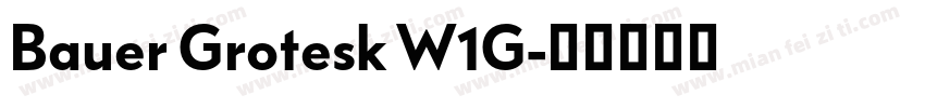 Bauer Grotesk W1G字体转换